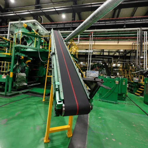 conveyor machine （Tiantie Industrial factory)