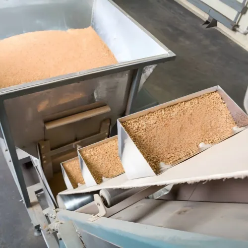 grain process